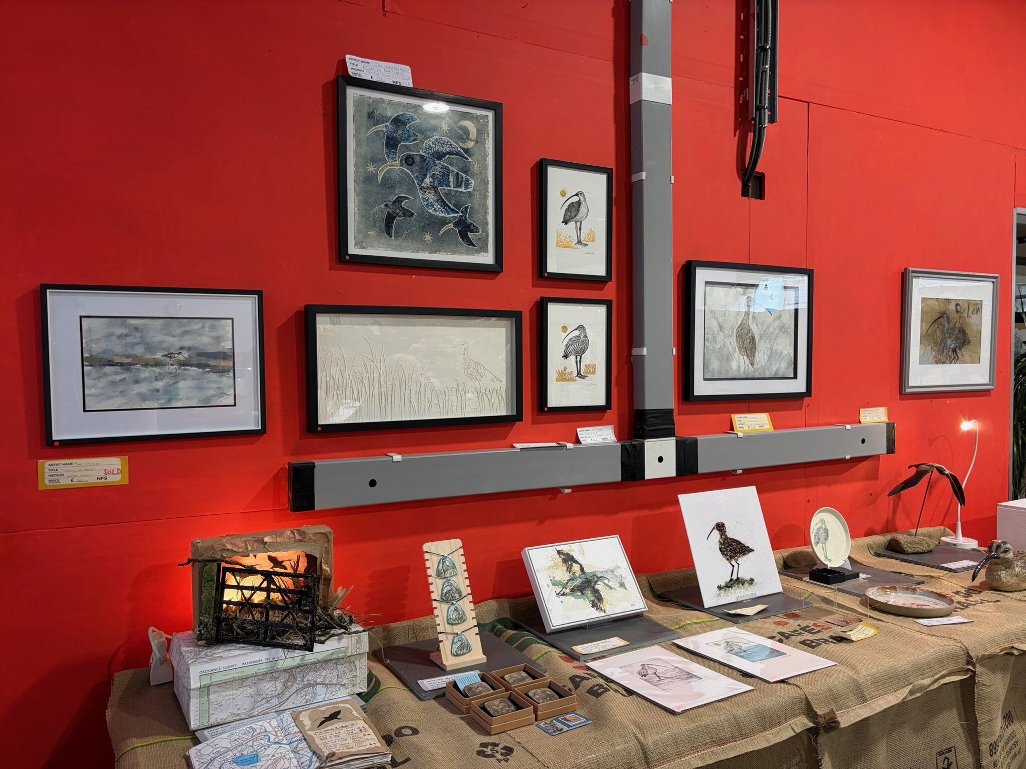 Curlew Exhibition 