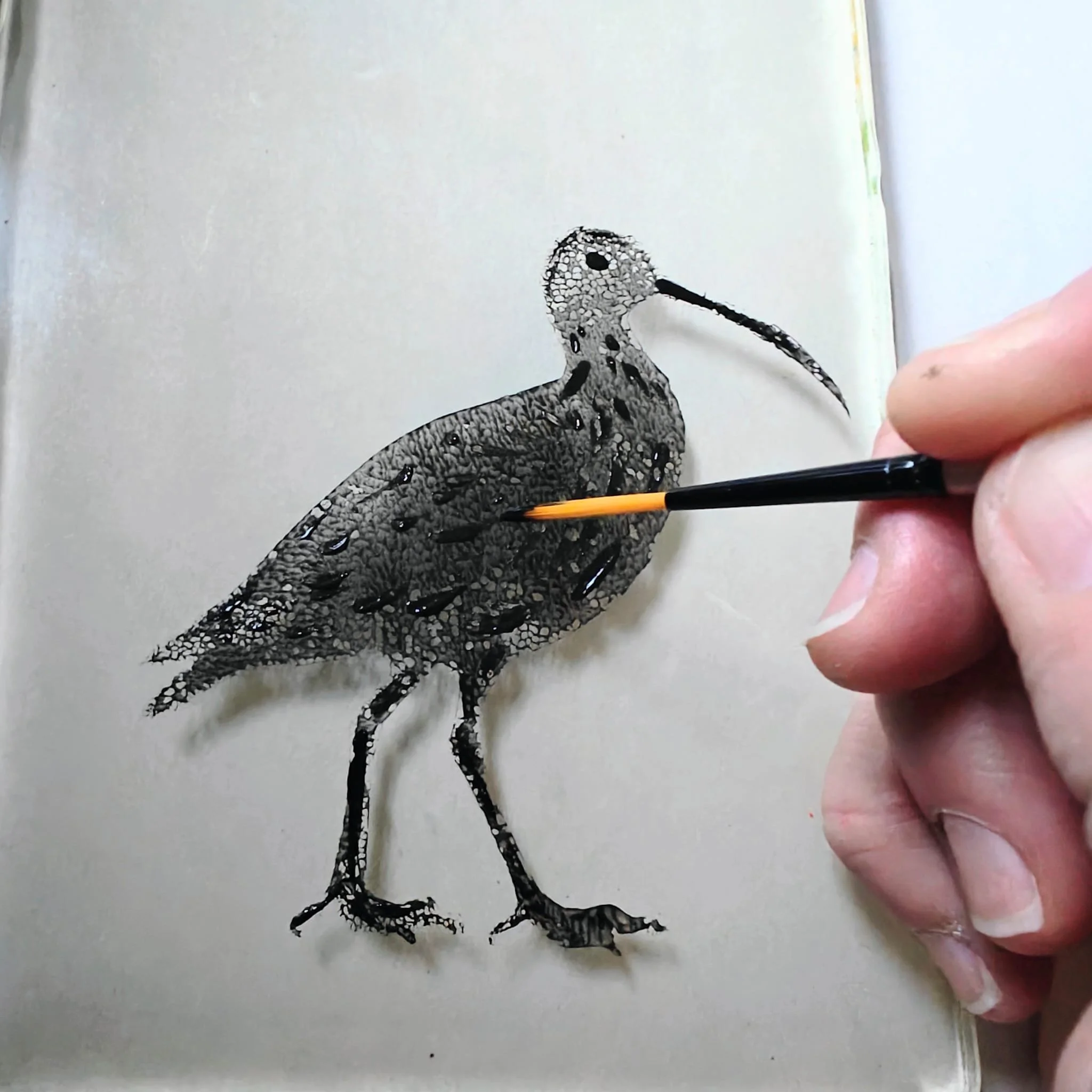Gelli Printing Curlews