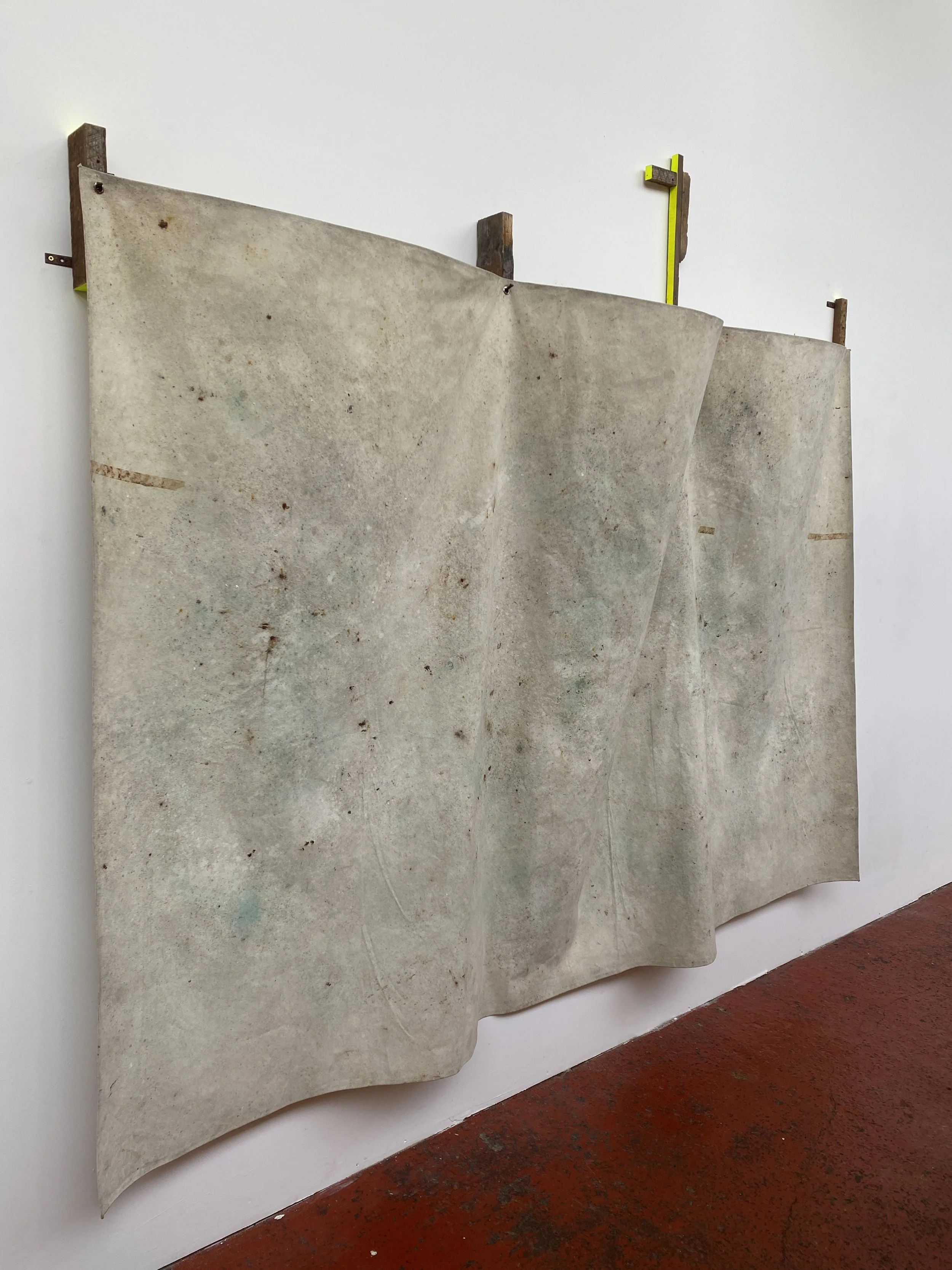 Andrew Wild: ein einic ein