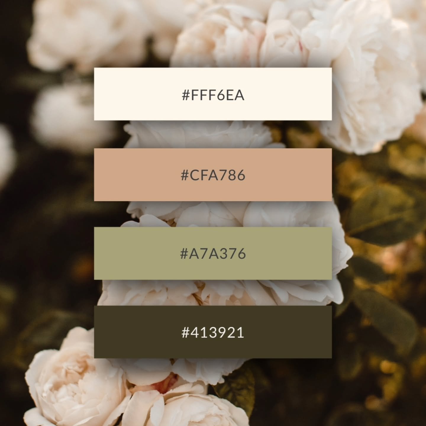 Spring doesn&rsquo;t have to be all about yellows, pinks, and soft blues.

This palette leans into:

Cream &rarr; clarity &amp; openness
Soft Peach &rarr; warmth &amp; approachability
Light Sage &rarr; calm confidence
Deep Olive &rarr; grounded autho
