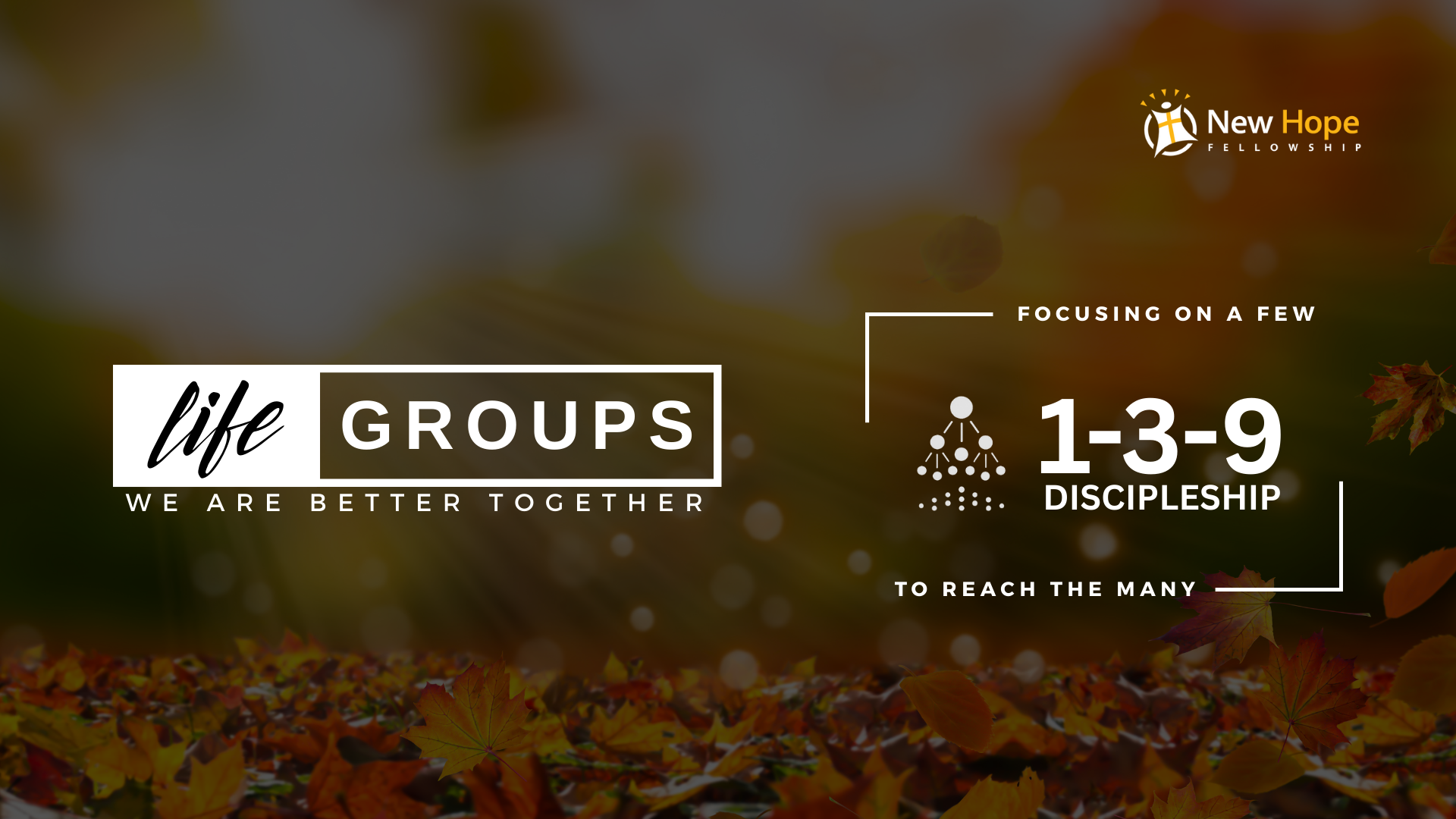 Life Groups & 1-3-9 Discipleship Group