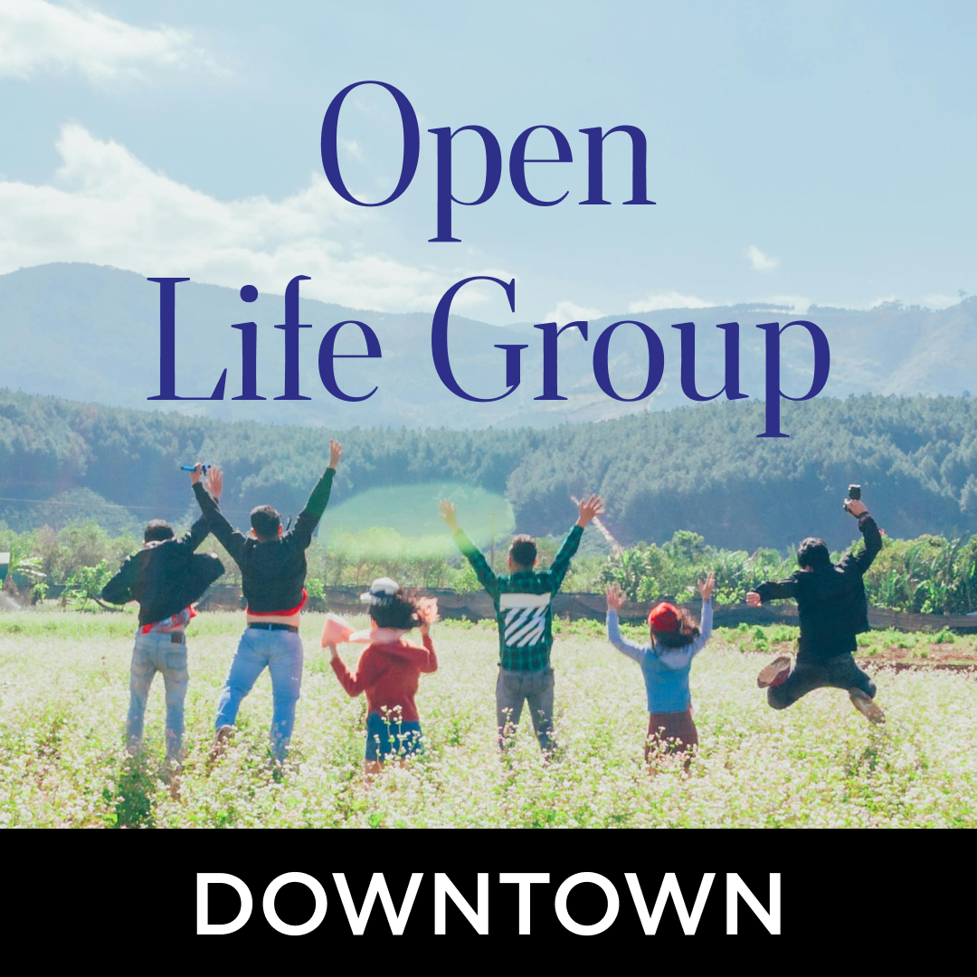 Open Life Group