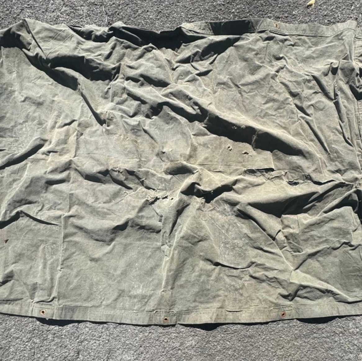 TARP by Greg Farley