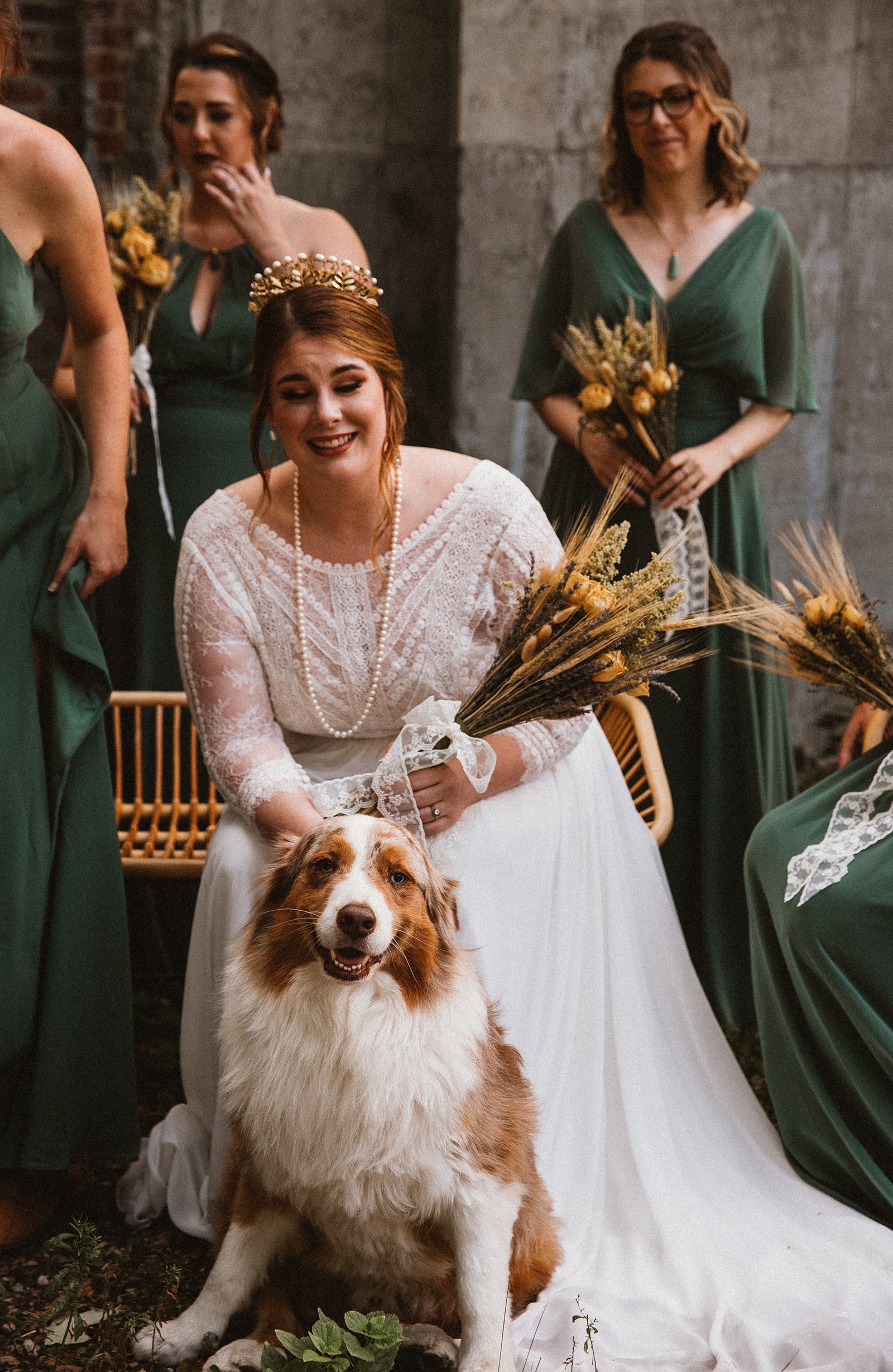 Boston-wedding-bride-dog.jpg