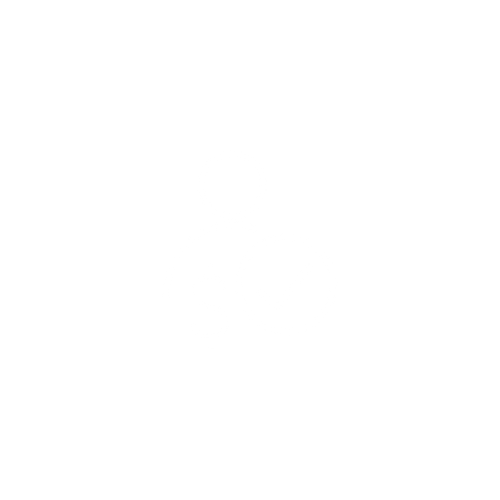 Investor Due Diligence