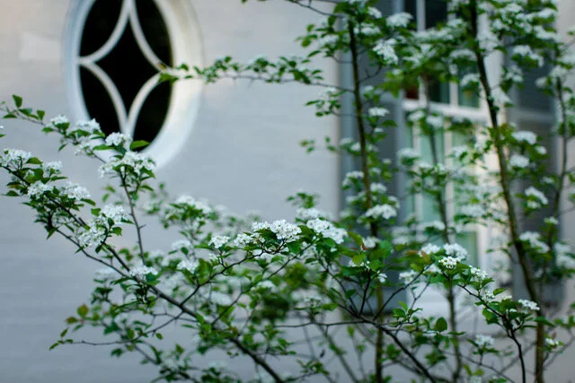 Southward_project_Kelly Hulsey Garden Design059-EWK_6136.jpeg