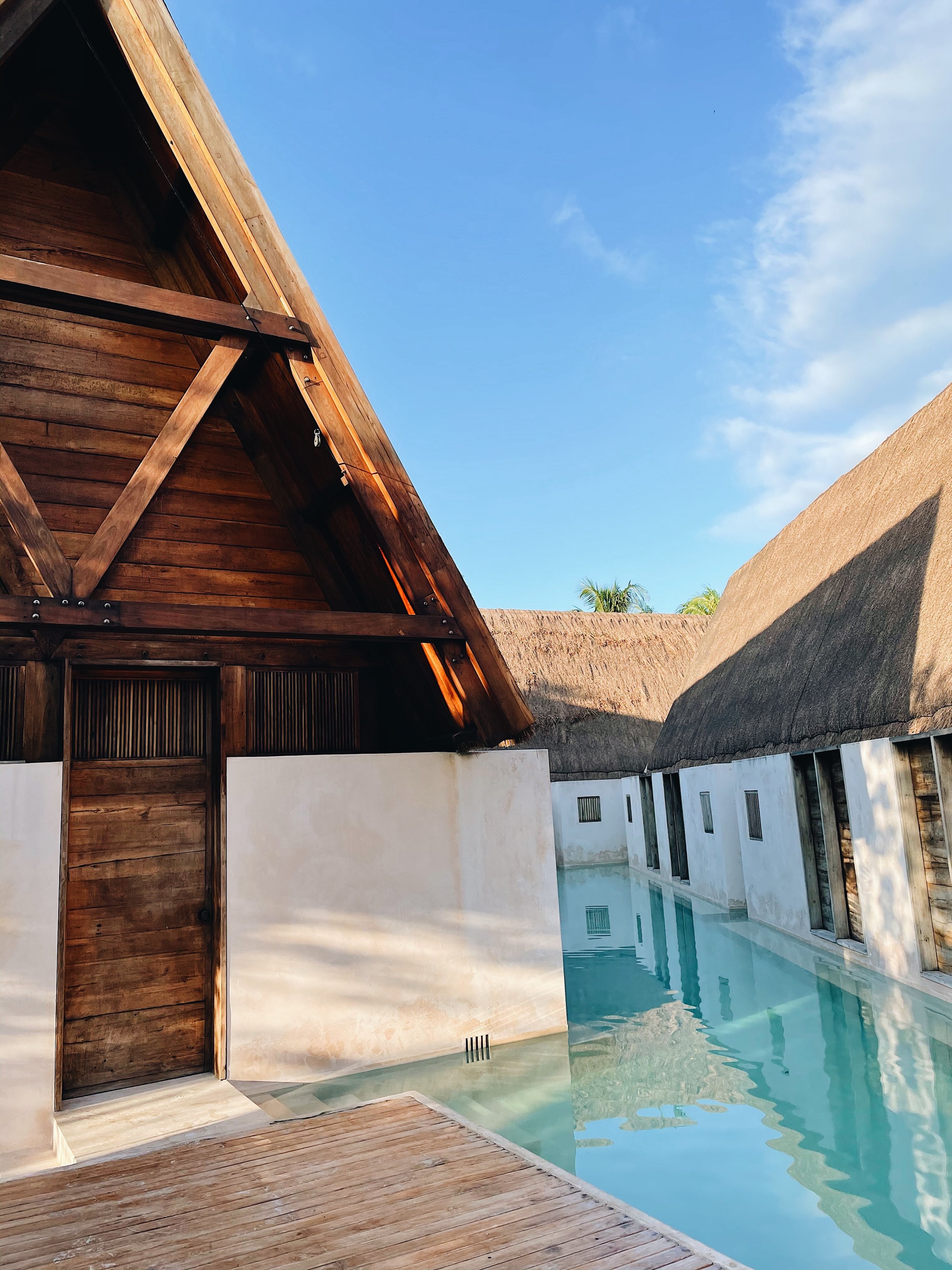 D7F58933-F650-443A-A203-78DFF547238C-DEA9638A-3F15-4AE7-9E8A-A2EB14E9299D 2 (1).JPG