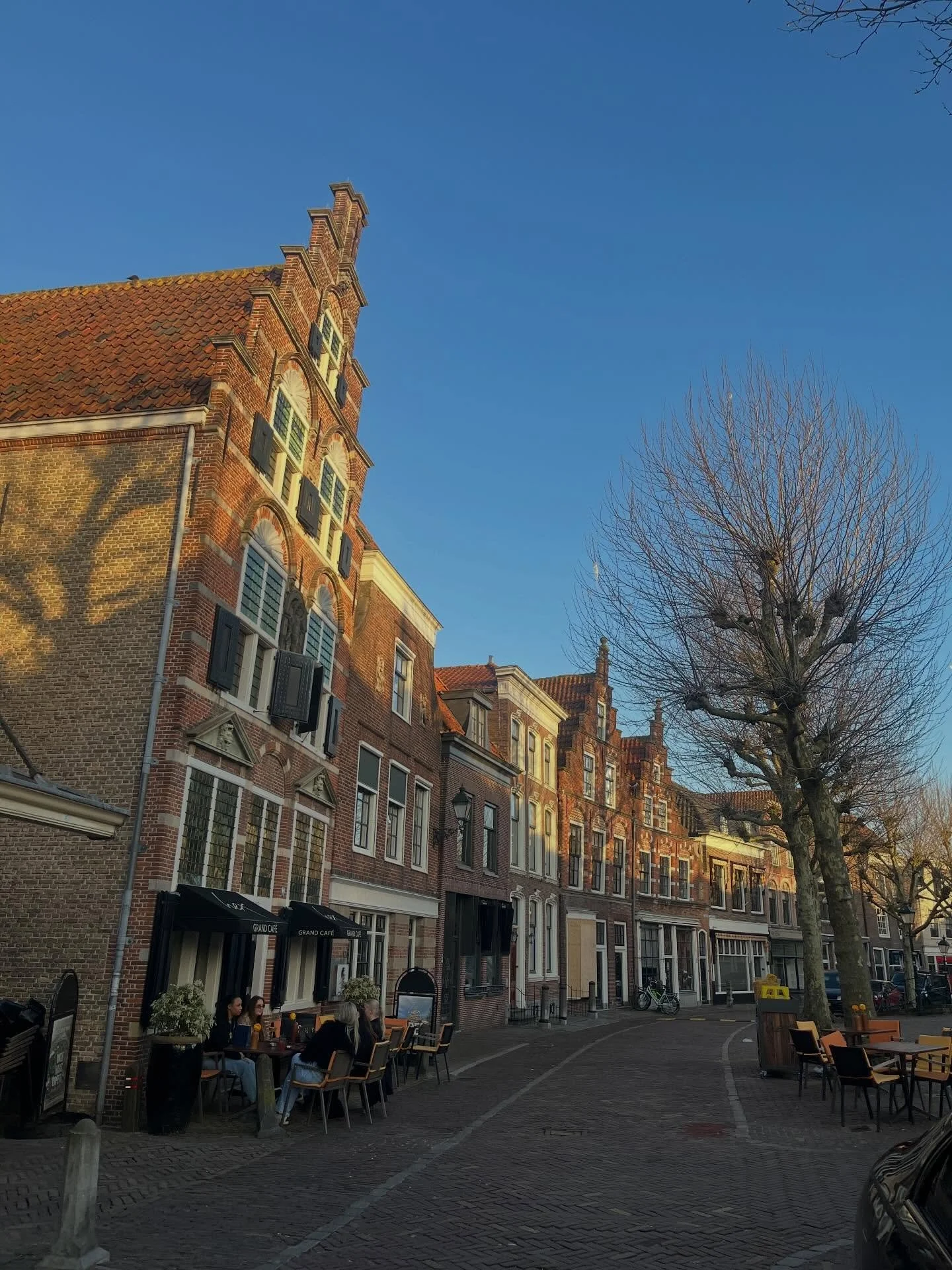 Oudewater and Leiden 🇳🇱 T. rex - Completeness skeleton: roughly 80% bone volume, top 3 of all T. rex fossils https://www.naturalis.nl/en/over-ons/media-onze-experts-beantwoorden-graag-alle-persvragen/persdossier-naturalis-t-rex #trex #dinos