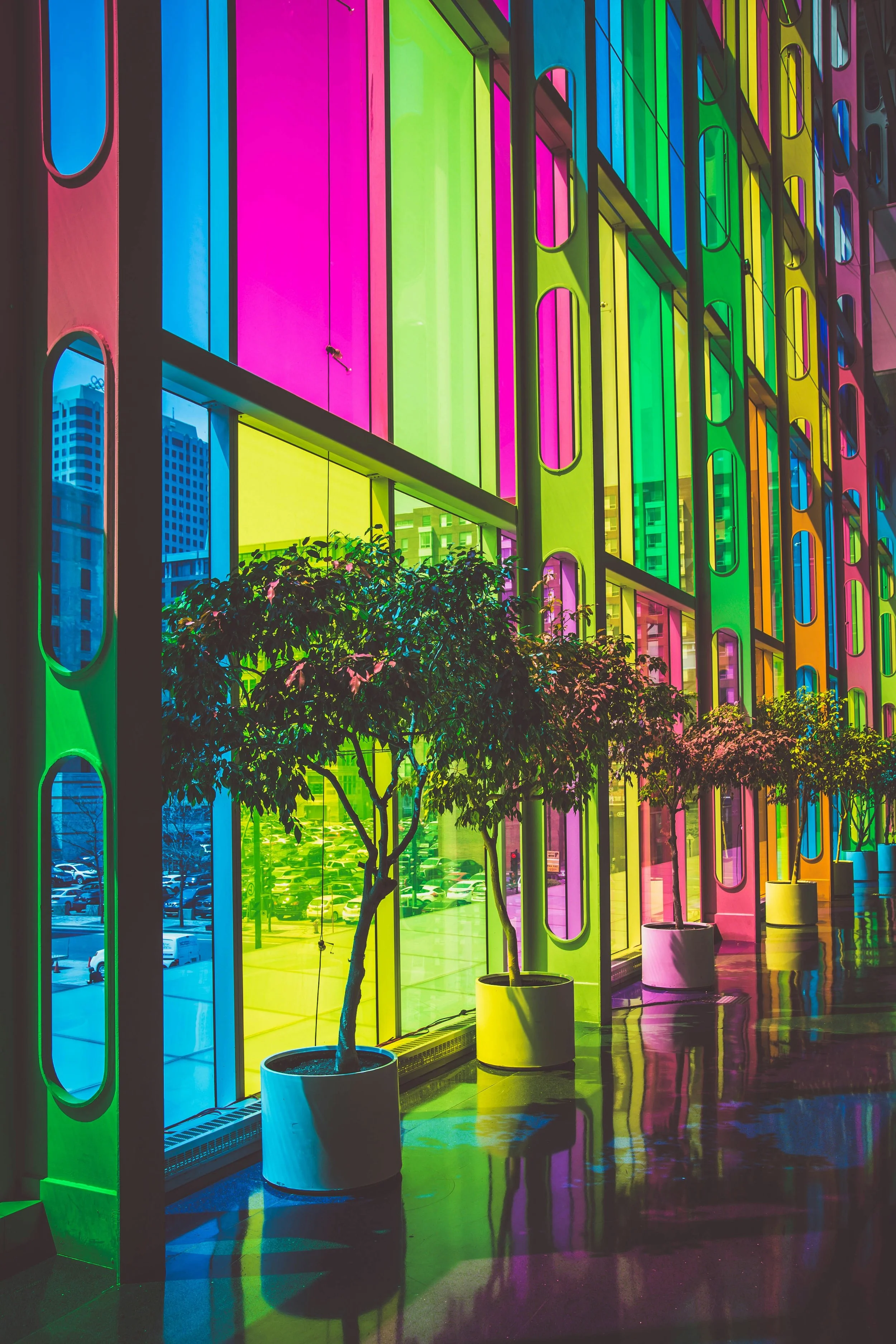 felix-dubois-robert-CuEvrPd3NYc-unsplash (1).jpg