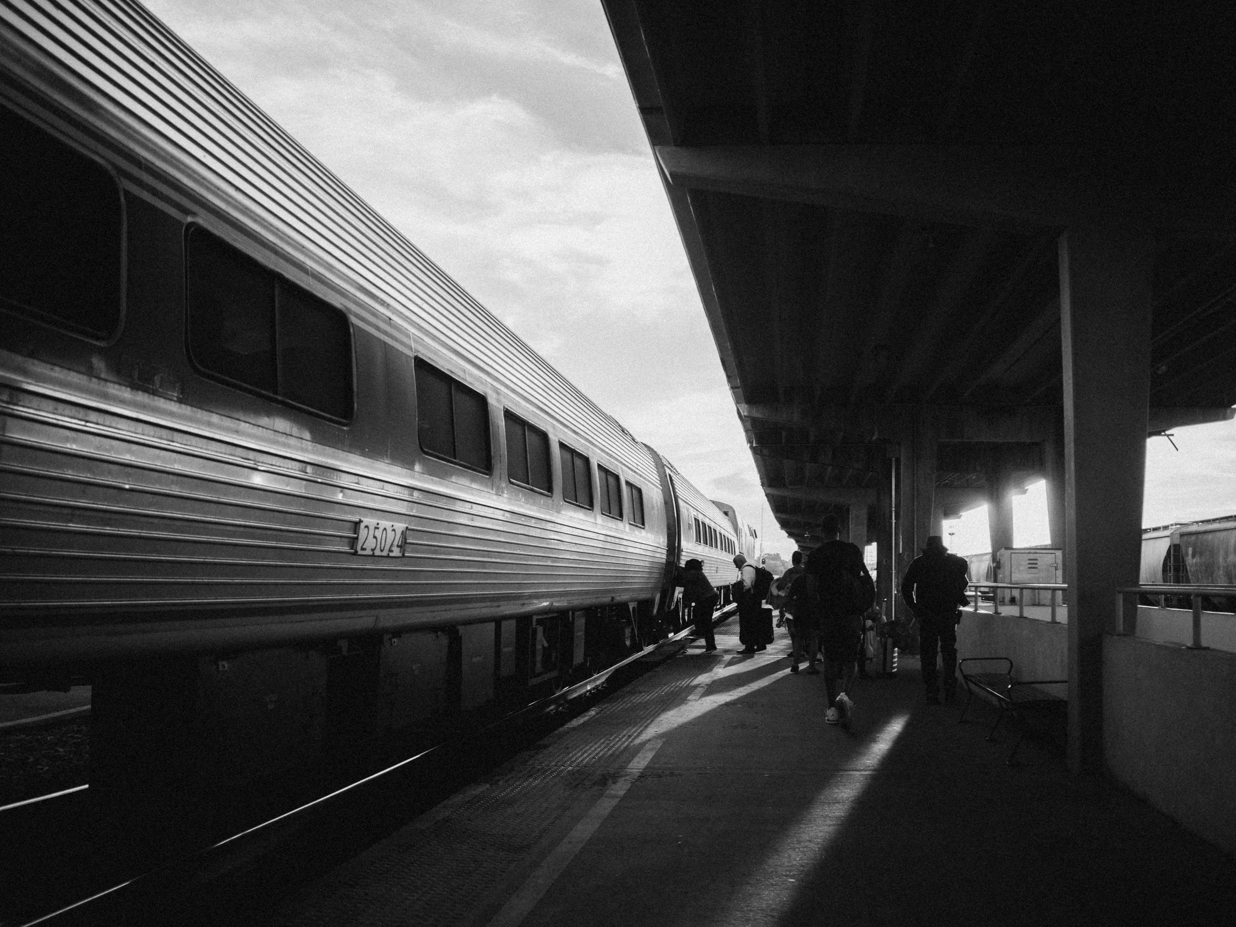 _DSF0774.jpg