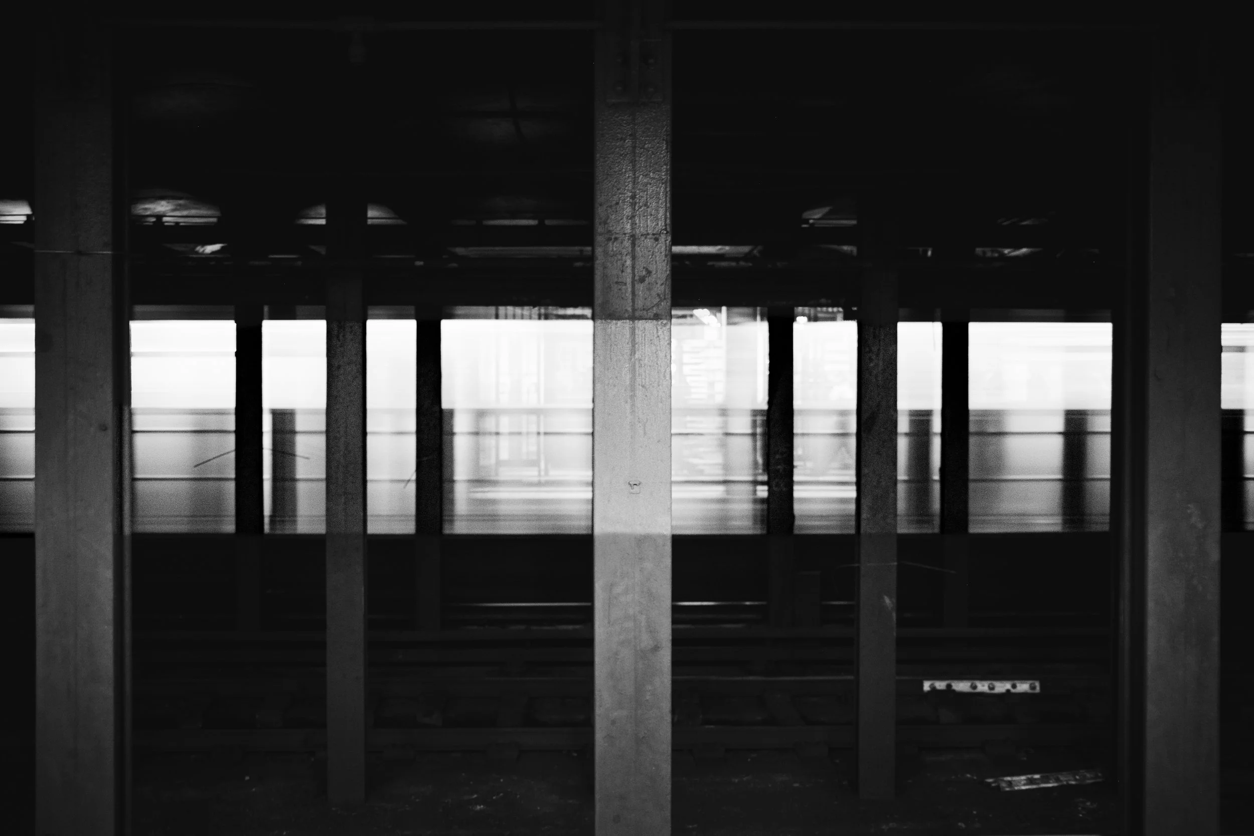 DSCF5205.jpg