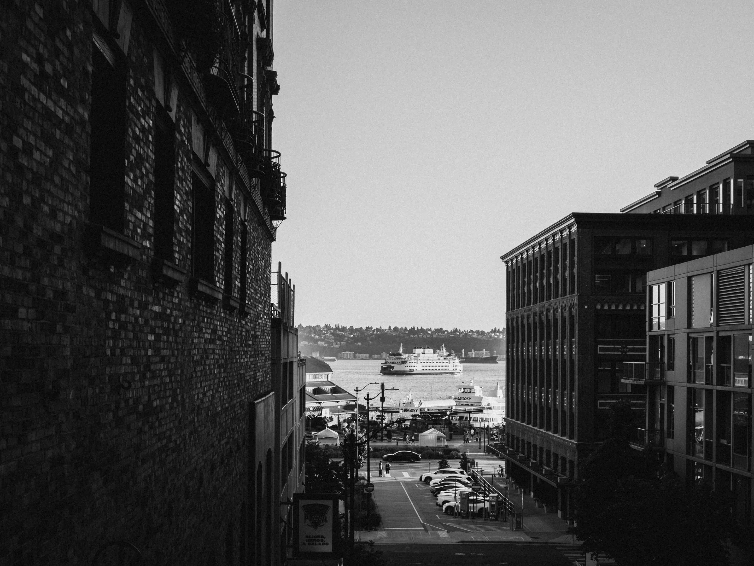 _DSF5384.jpg