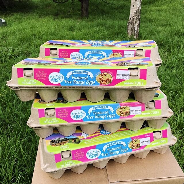 NEW STOCKISTS 🐓
Look out for our bright coloured cartons at @themarketjindabyne, JDs Meats Pambula, Bega Valley Meats Bega, Haven Meats Batehaven, and on the menu at @mossycafe 🤩

If you know of a store who should stock our eggs, let us know or ask