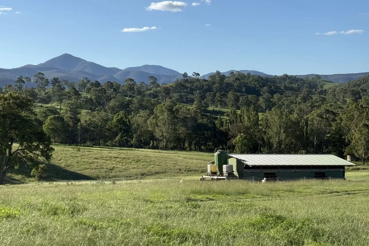 Are Ethical Eggs Better Quality?