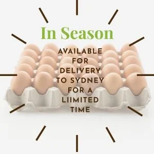 15 Dozen Premium PULLET EGGS