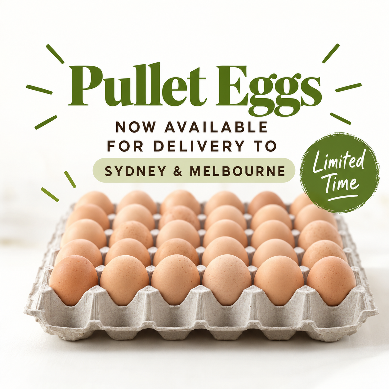 15 Dozen Premium PULLET EGGS