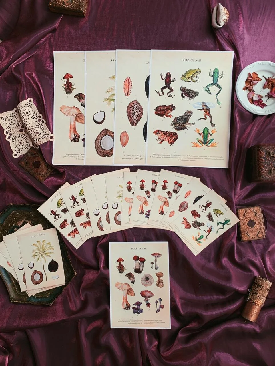 WhatsApp Image 2021-01-21 at 10.35.56 (1).jpeg