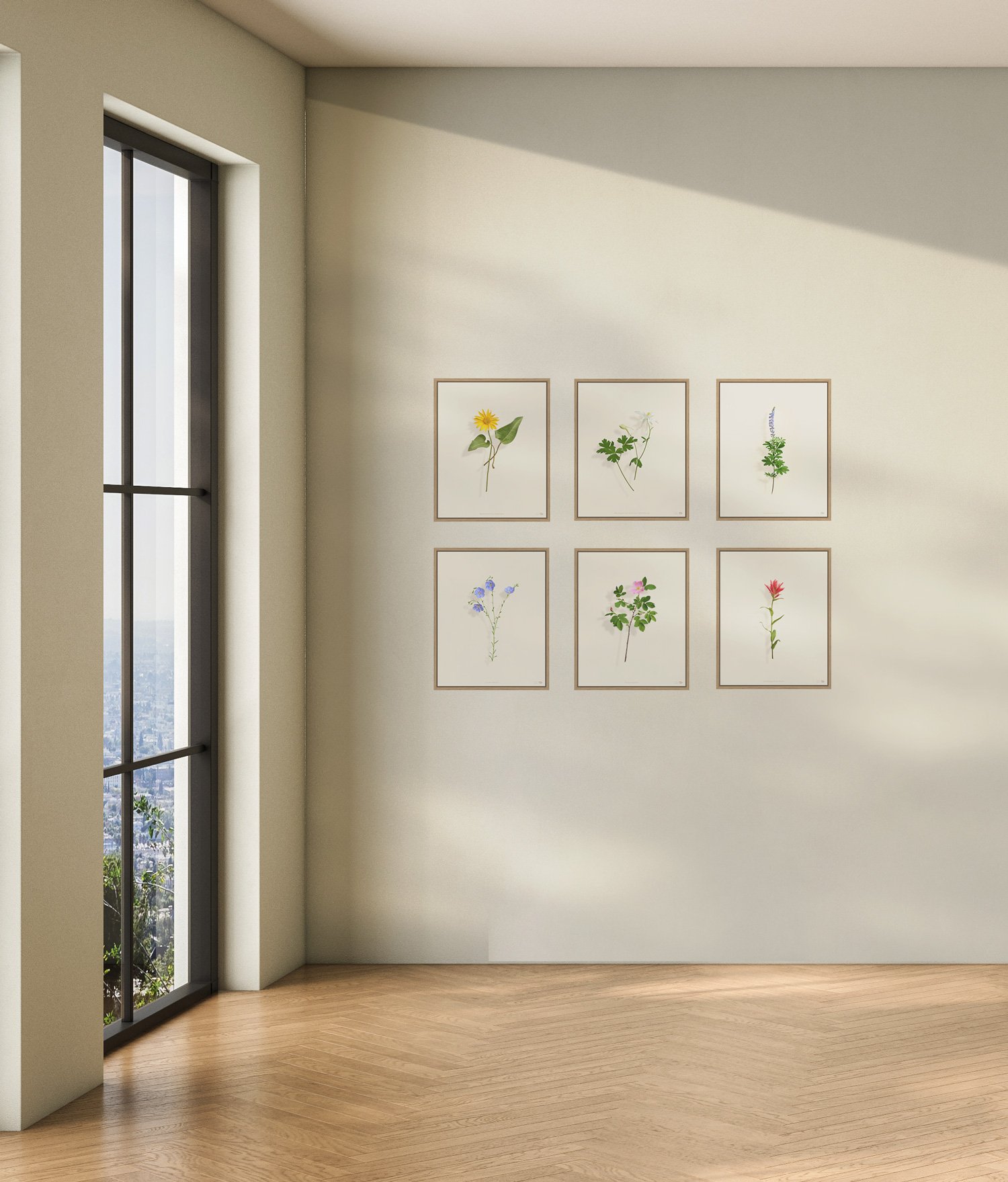 Six framed botanical art prints hung on a plain white wall in a bright room with a large window, a wooden floor, and natural sunlight.
