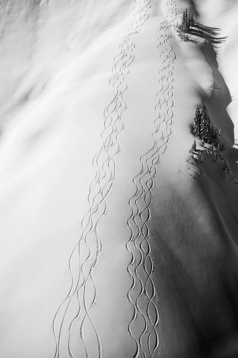 Several sets of ski tracks in fresh snow leading towards trees and a slope in the distance, with shadows cast on the snow.