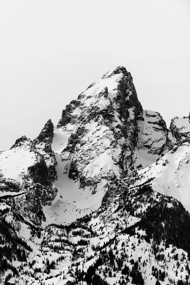 Snow-covered mountain peak with forested slopes in black and white