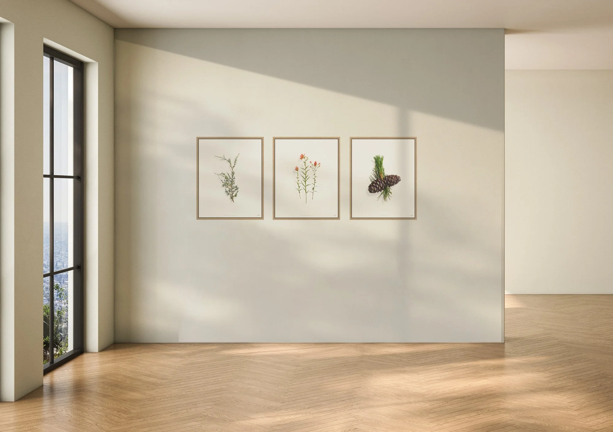 Three framed botanical art prints on a white wall in a bright, modern room with wood flooring and a large window.