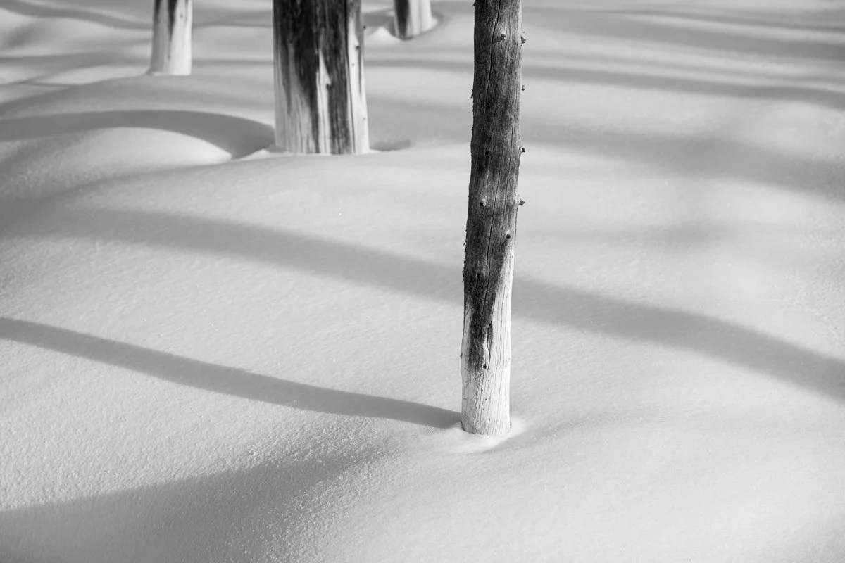 Black and white photo of snow-covered ground with several wooden posts and their shadows.