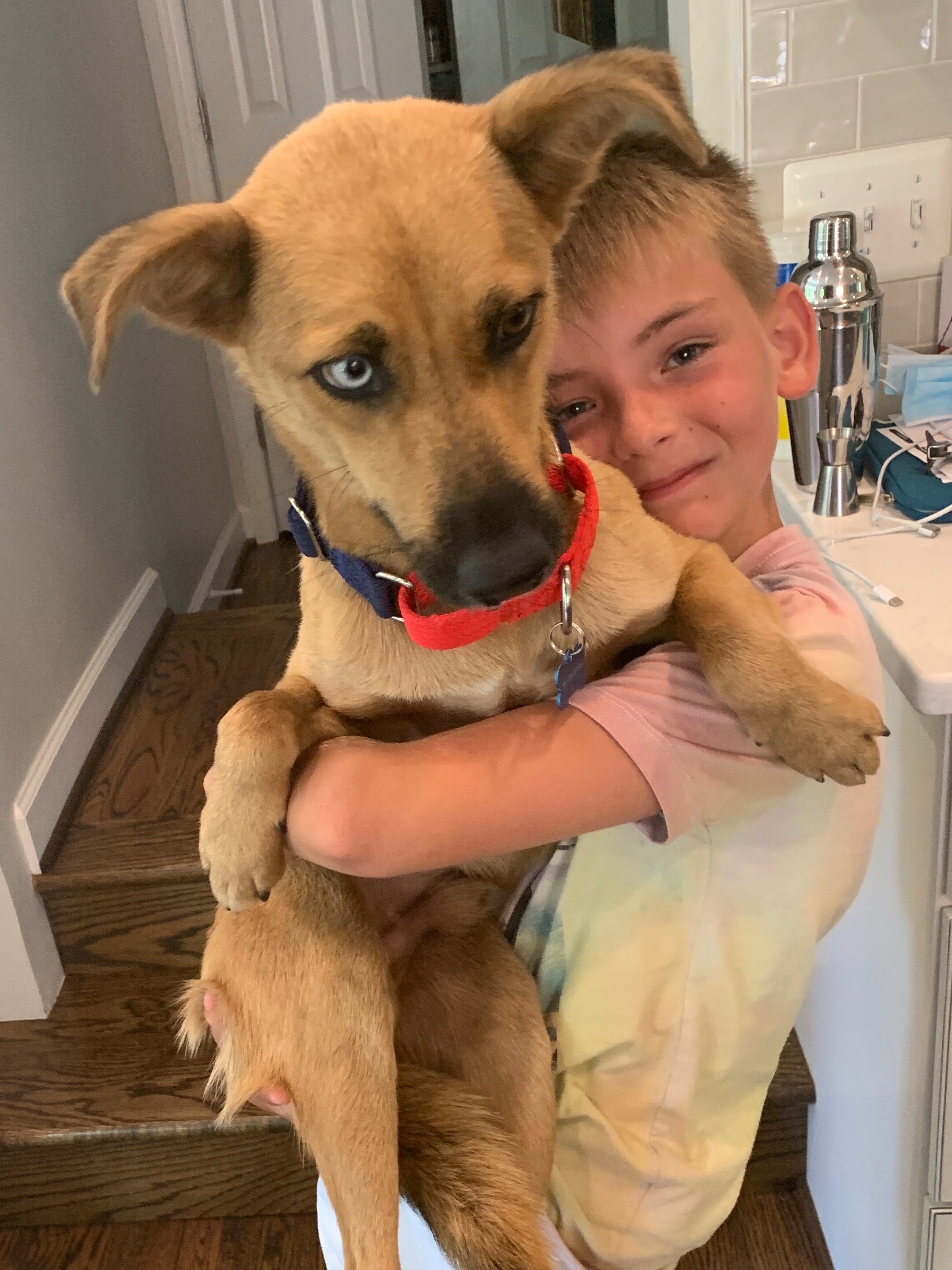 2020.07.19_Adopt_Brownie_Rio_1.peg.jpg