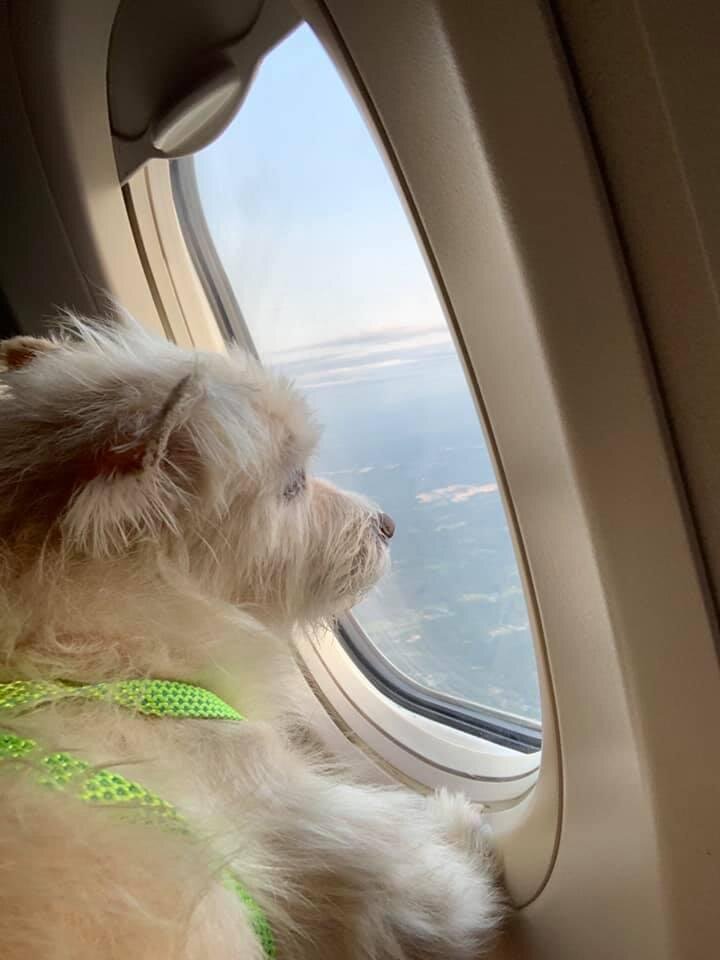 Spike-plane.jpeg