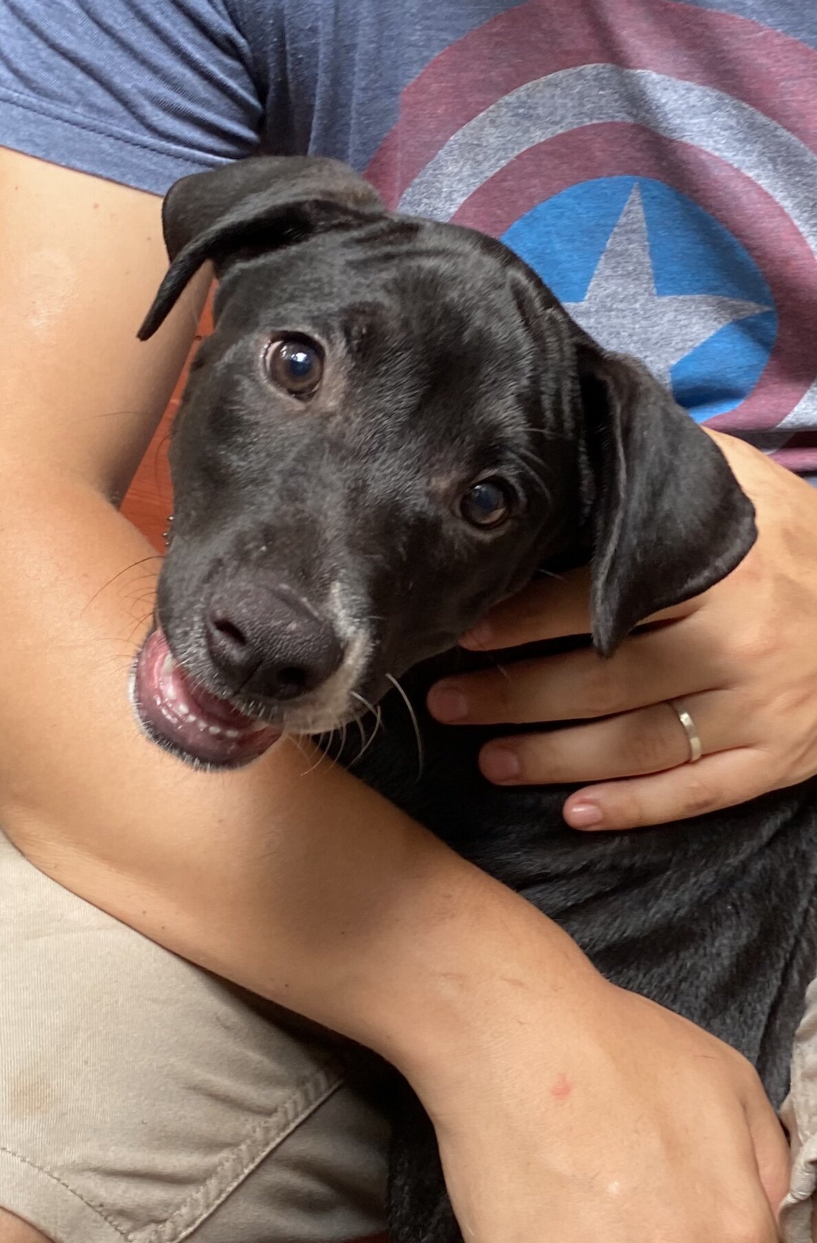 adopted-Kai.jpg