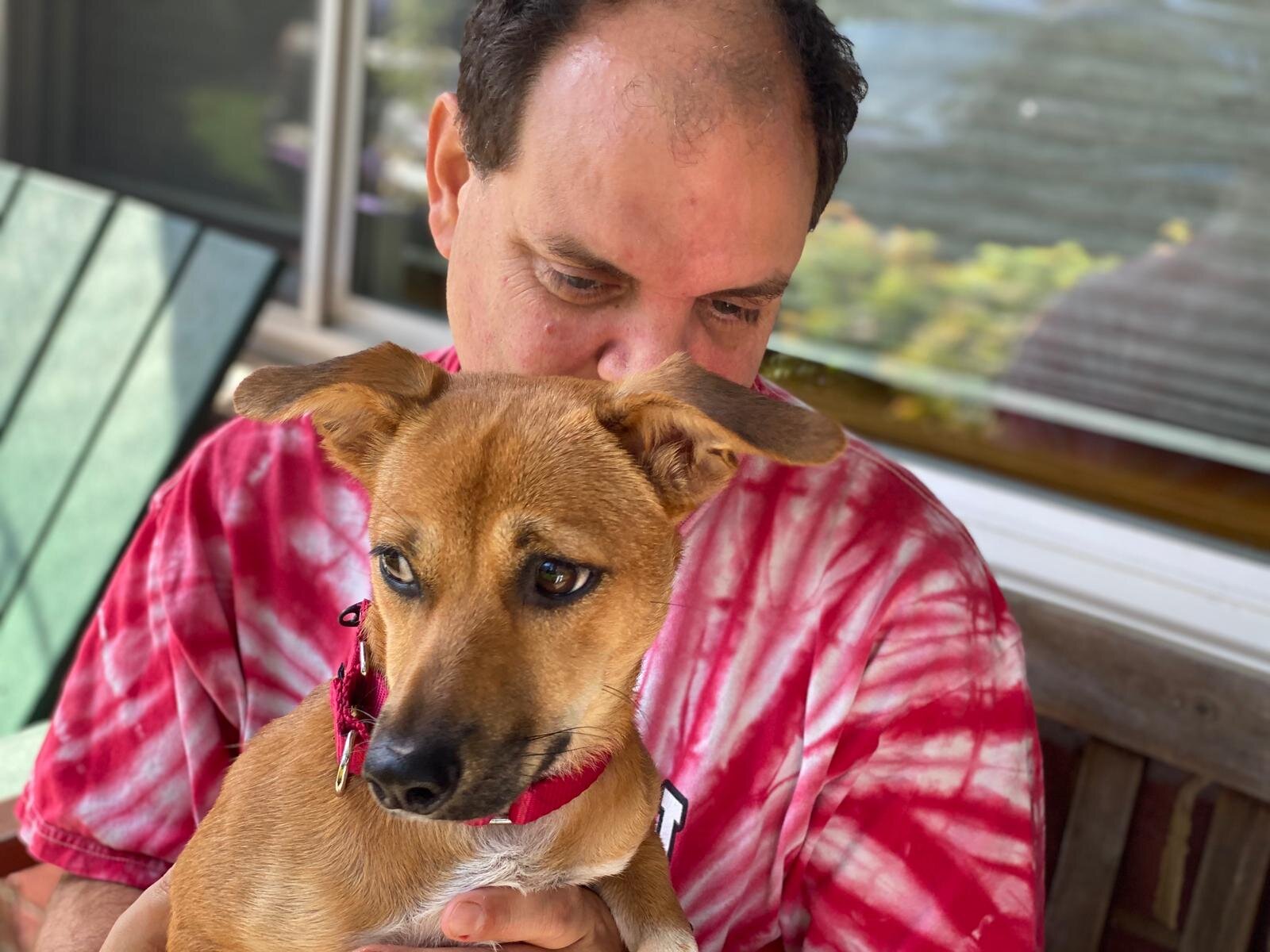 Cupcake adopted.jpeg