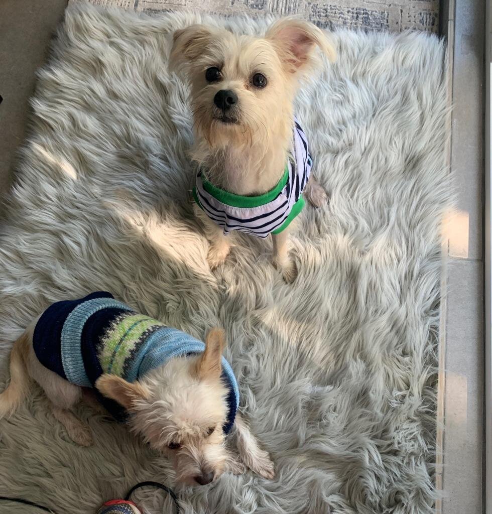 Patty+Minnie_adopted.jpeg