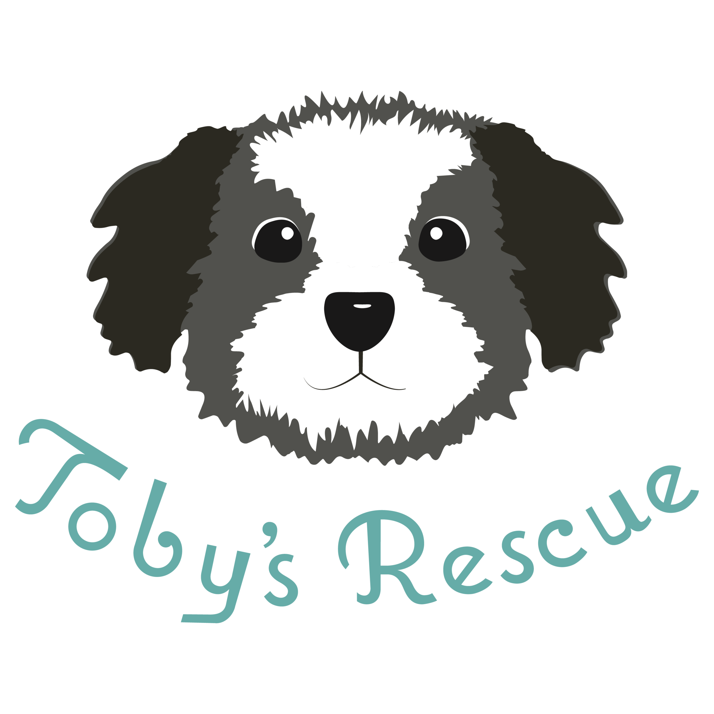 Toby's Rescue Finding Homes for Sato Dogs