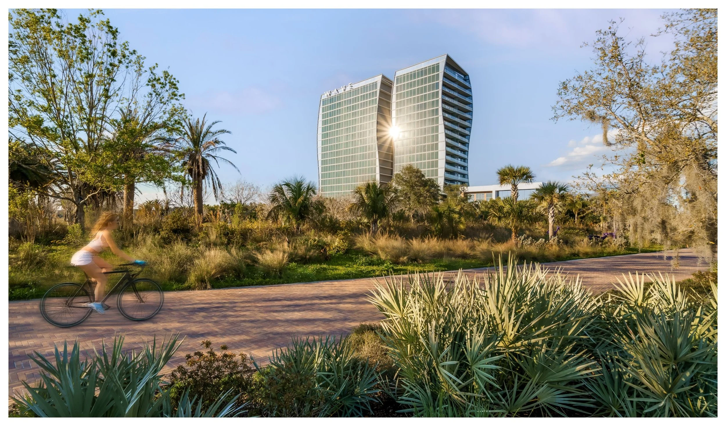 Wave - Golden Hour.jpg