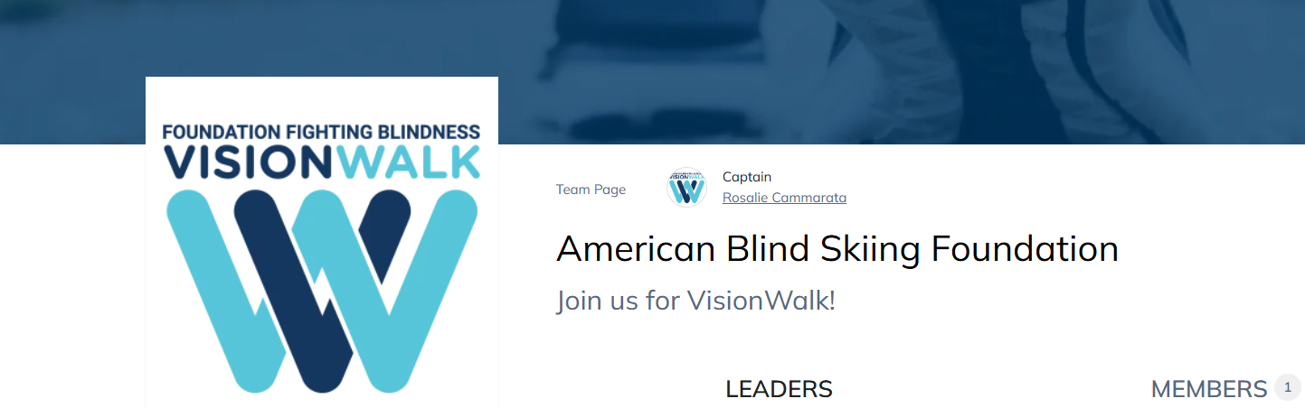 21st Annual Chicago VisionWalk