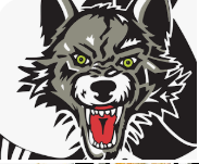 Chicago Wolves Hockey - Fundraiser