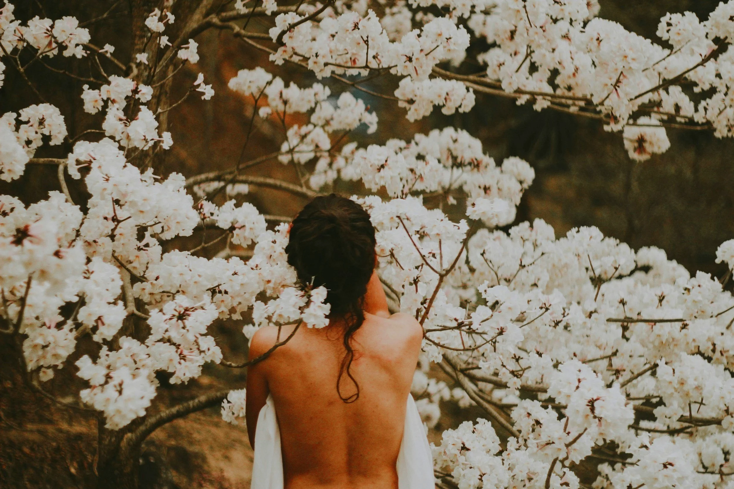 Somatic Therapy: Experience Freedom through Your Body, (Not in Spite of it)