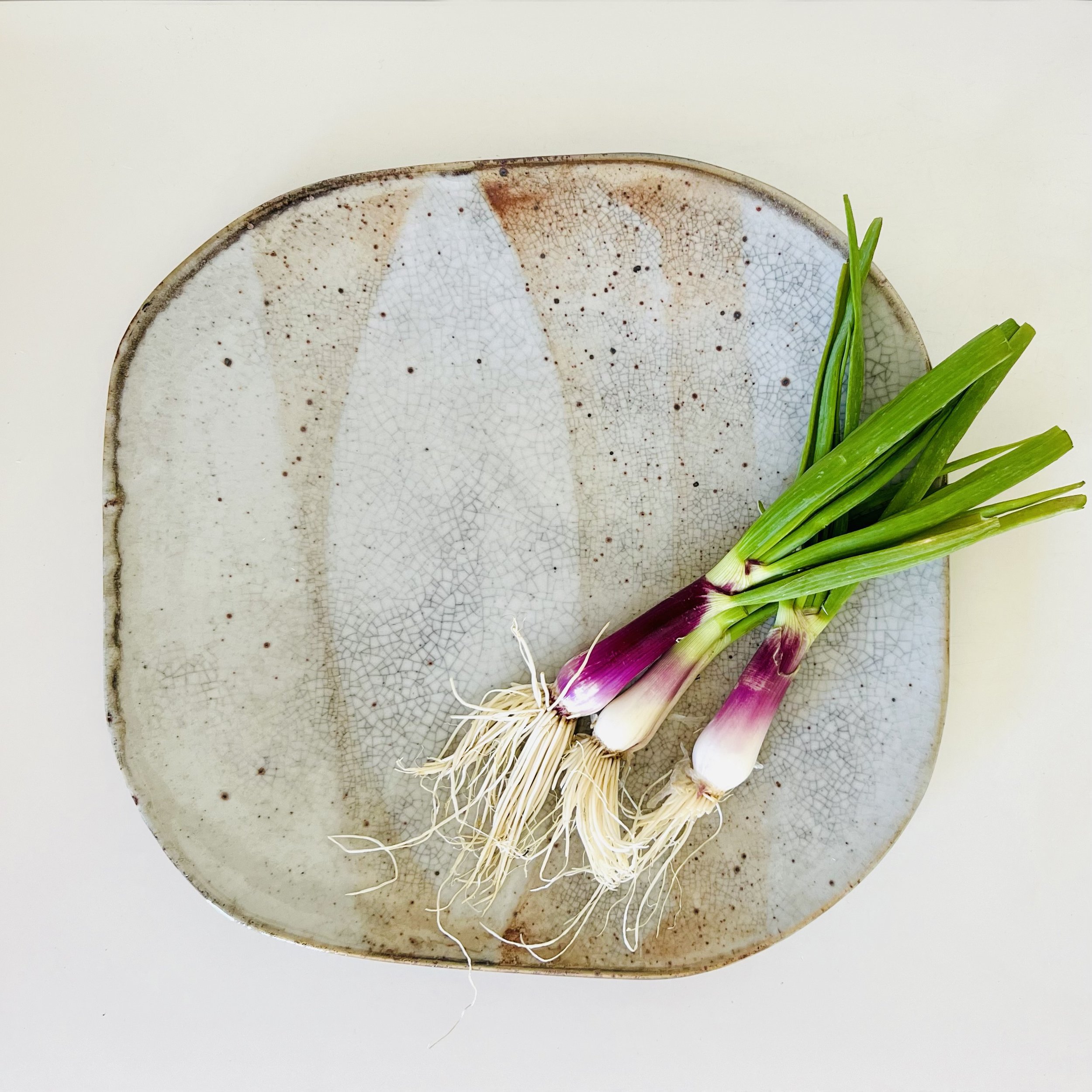 deHeer shino platter 1a 2024.jpg