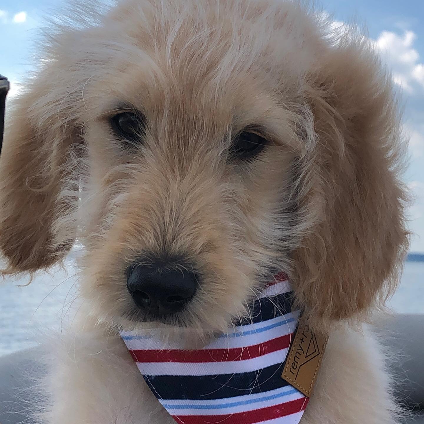 First boat ride! 🇺🇸#boathairdontcare