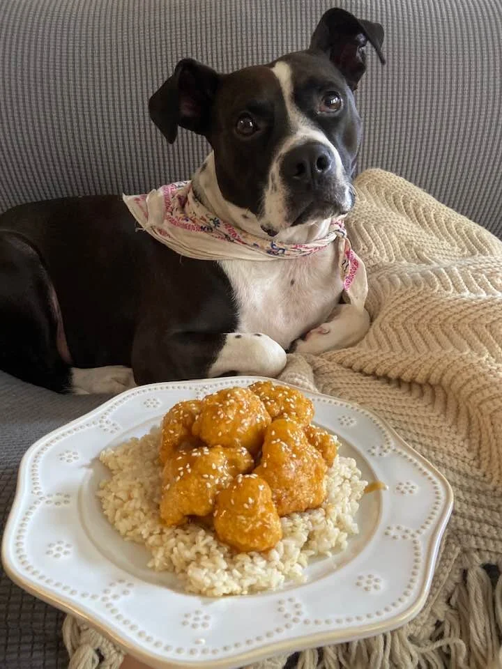GLAZED ORANGE CAULIFLOWER “CHICKEN”
