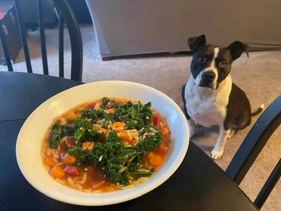 ITALIAN ORZO SPINACH SOUP