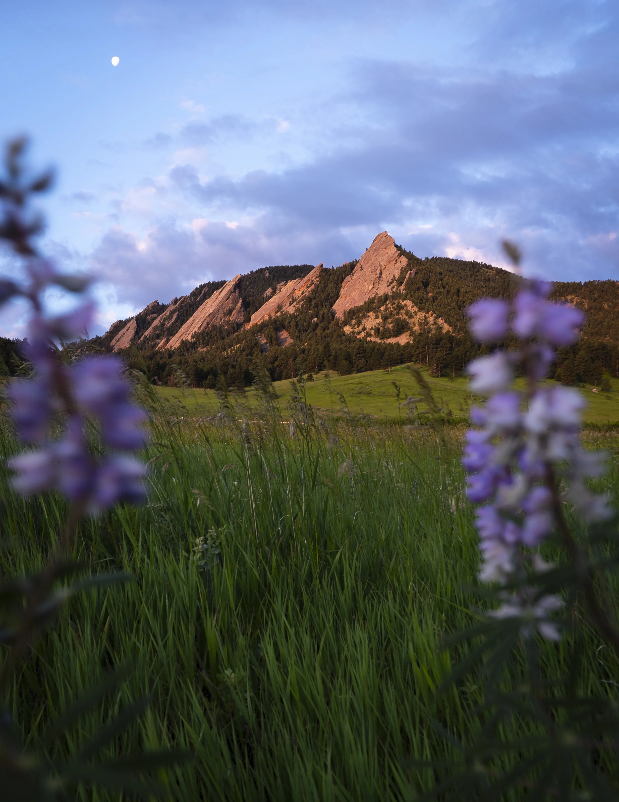 Sunrise in the Flatirons, Summer time