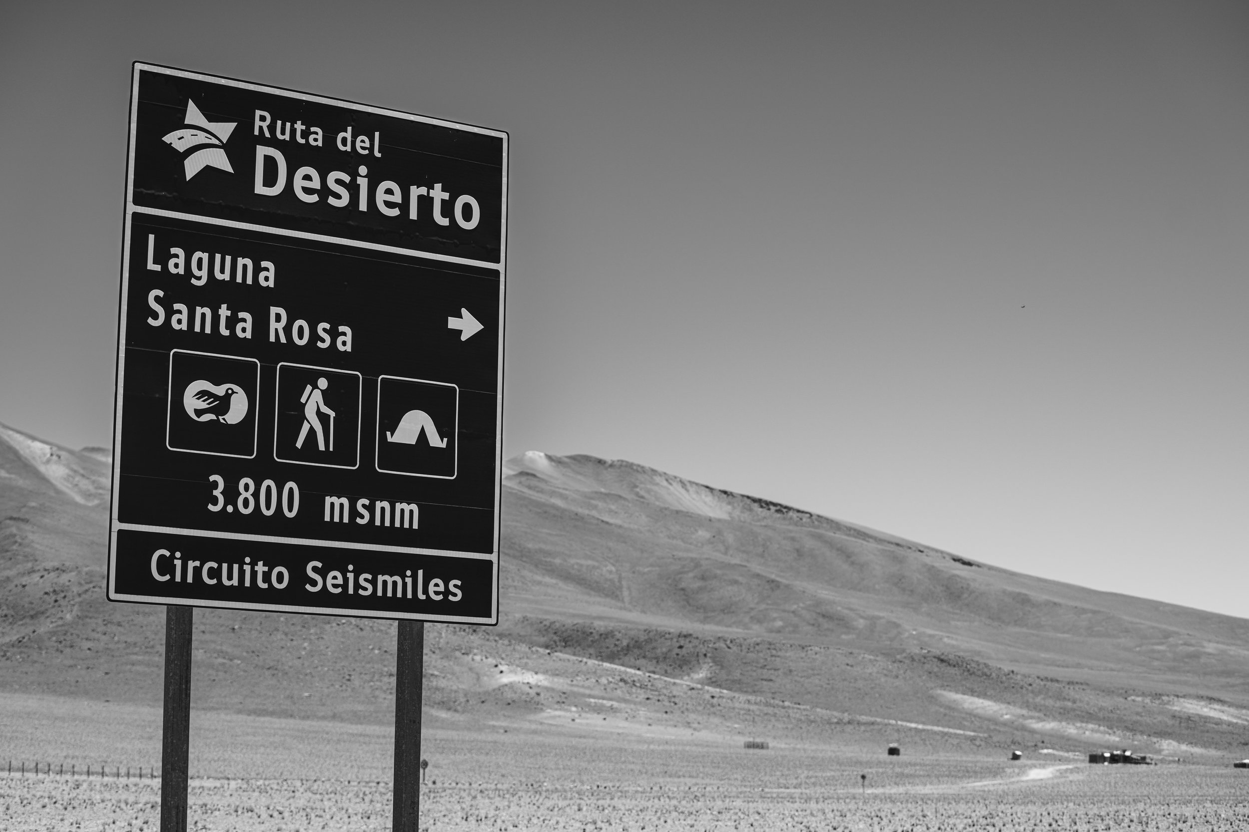 Ojos_FelipeTapiaNordenflycht-79.jpg