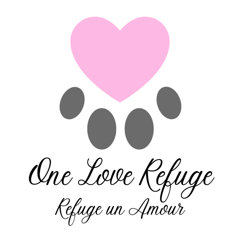 One+Love+Refuge.png