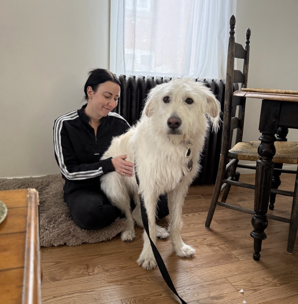 Screenshot 2026-03-03 at 7.07.05 PM.png