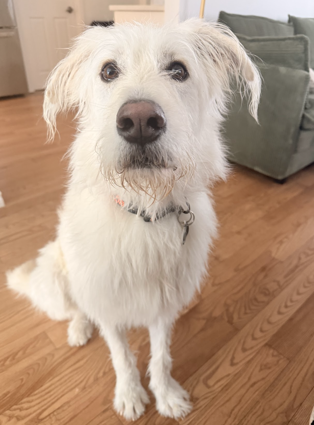 Screenshot 2026-03-03 at 7.07.20 PM.png