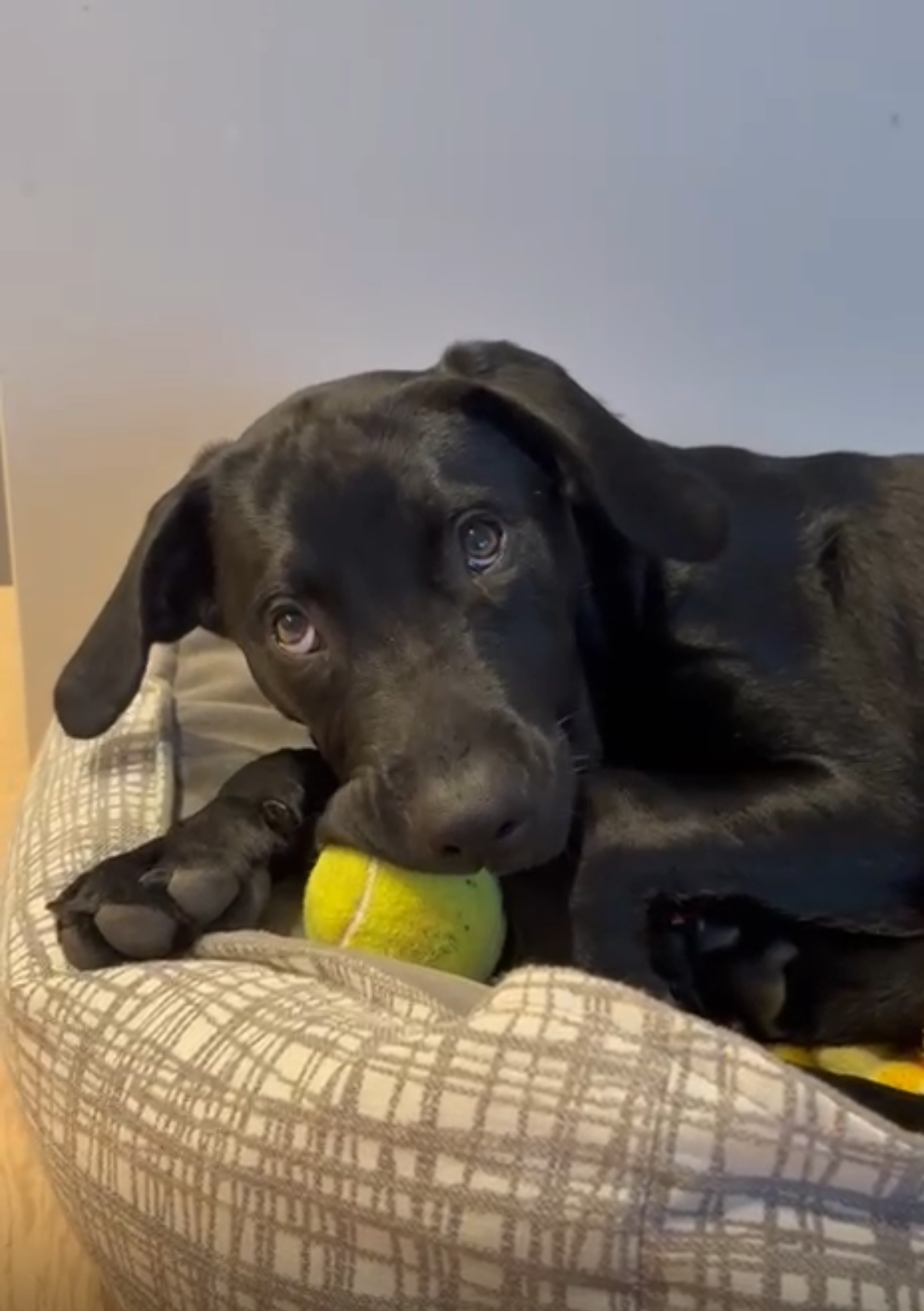 Screenshot 2026-03-26 at 8.32.29 AM.PNG