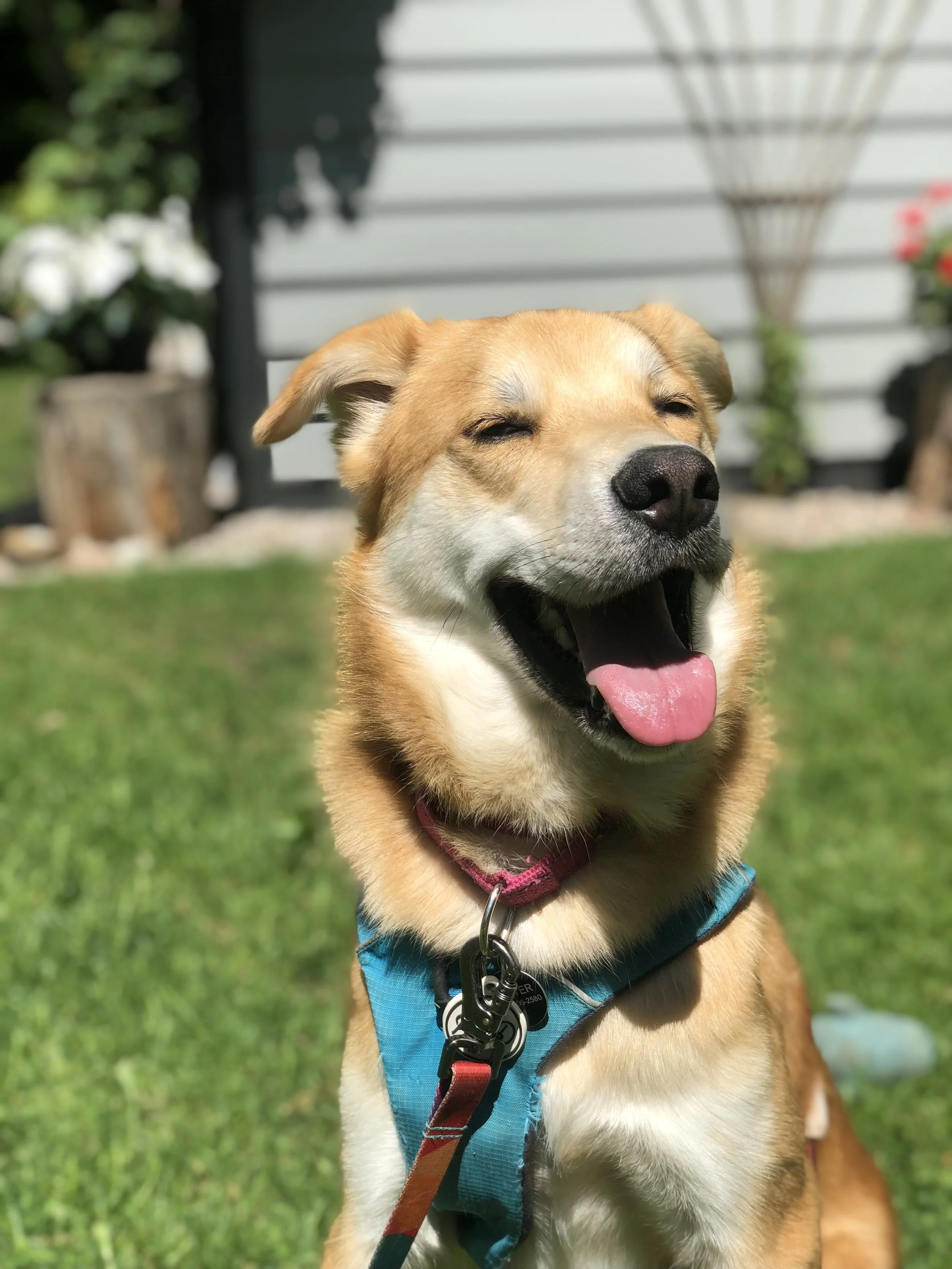 80185908233__7CD50C4C-1B07-4BAB-923C-544E19838884.fullsizerender.jpg