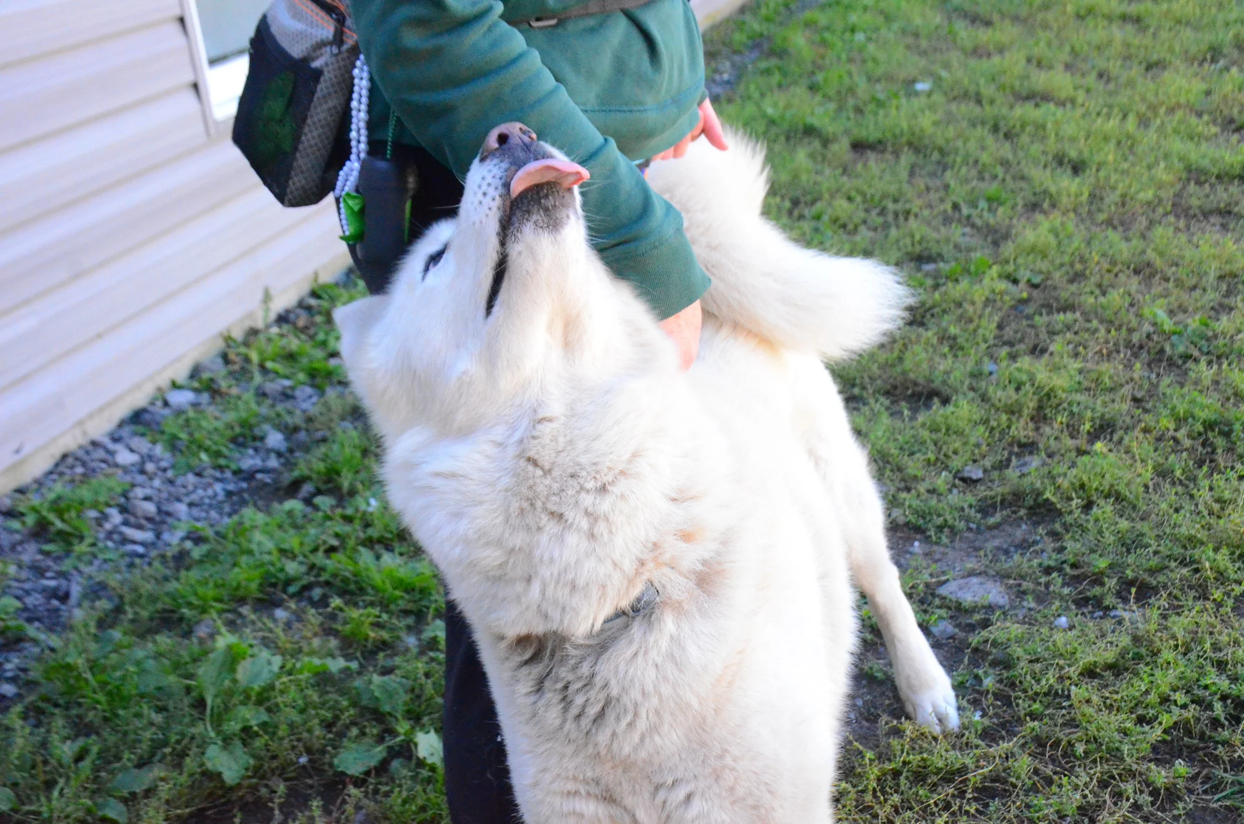 Copy of DSC_9931.JPG