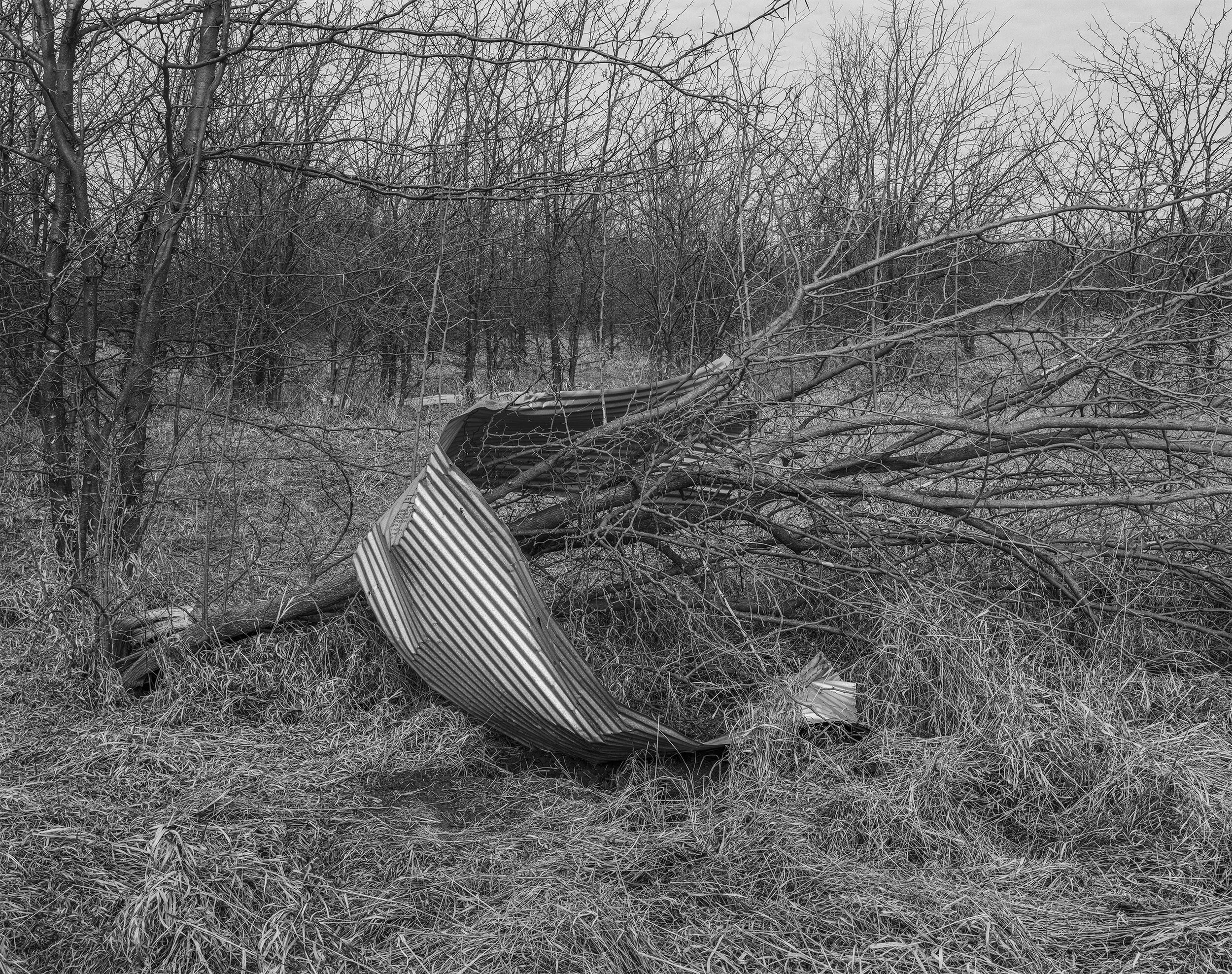 1750 metal in tree.jpg