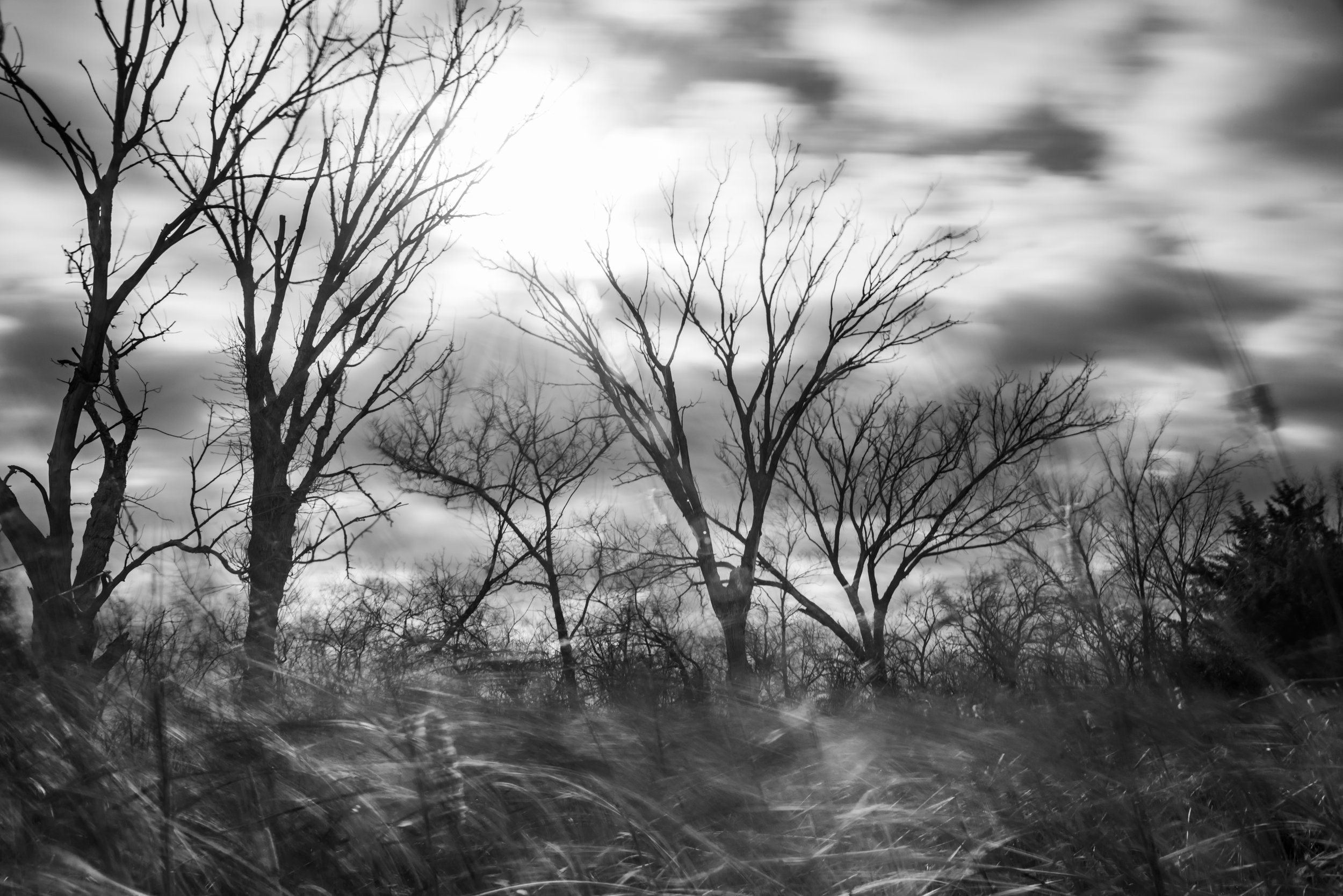 thru grass48-4.jpg